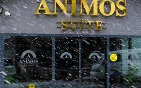 Animos Butik Otel